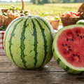 Sweet Watermelon Live Plant, Watermelon Starter Plant 4-7 Inches Tall in 4 Inch Pot, Sweet Fruit Plant, Outdoor Garden Vine