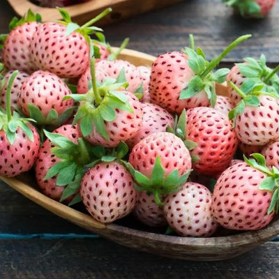 10 White Carolina Pineberry Strawberry Plants Plants Bareroots, Pineapple Strawberry Flavor