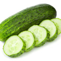 2 Cucumber Plants Live, Live Green Cucumber Plants, 3 to 5 Inches Tall, 4 Inches Pot, Cucumber Live Plants, Cucumber Seedling Plants for Growing