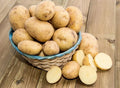 Yukon Potato Seeds, 60 True Potato Seeds Vegetable Heirloom for Growing