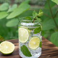 Mojito Mint Herb Plant for Planting, Perennial Mint Plant, Fragrant Mints, 5-7 Inches Tall, Well Rooted, Ready to Grow