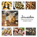 1 LB Jerusalem Artichoke Tubers for Planting, Sunchoke Rhizomes Bulbs for Planting, Cold Hardy Gardening Indoor Outdoor