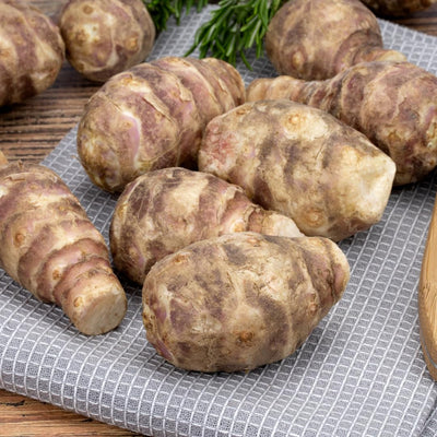 1/2 Lb Jerusalem Artichoke Tubers for Planting, High Yield Sunchoke Rhizomes Bulbs for Planting, Cold Hardy Gardening Indoor Outdoor