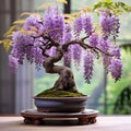 Purple Wisteria Plant in 4 Inch Pot, Wisteria Vine Starter, Hardy Climbing Flowering Vine for Trellis, Arbor or Garden