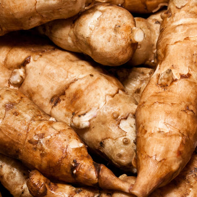 1 LB Jerusalem Artichoke Tubers for Planting, Sunchoke Rhizomes Bulbs for Planting, Cold Hardy Gardening Indoor Outdoor