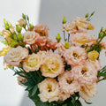 Live Pink Yellow Eustoma Lisianthus Plants, Flowers Seedlings, 3-5 Inches Heights, Well-Rooted Plug, Rose Plant for Garden