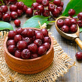 Live Red Aronia Chokeberry Plant, 10-12 Inches Tall, Hardy Berry Shrub for Outdoor Garden and Yard Planting, Chokeberry Tree Live Plant No Pot