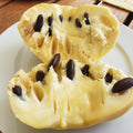 Paw Paw Tree, Pawpaw Live Plant, Fruit Tree, 1-2 Ft Tall