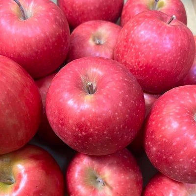 Pink Apple Tree Live Plant, 2 to 3 Feet, Pink Apple Tree Plant for Planting, Apple Fruit Trees Indoor Outdoor
