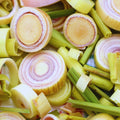 6 Lemon Grass Live Plants Stalks, Lemongrass Plant, Perennial Herb Plants, Well Rooted Between 5 and 7 inches Long