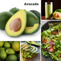 Dwarf Avocado Tree Plant Live, Cold Hardy Avocado Tree, 6-12 Inch Tall