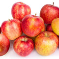 Gala Apple Tree Plant, 2' to 3' Tall, Red Apple Tree Plant, Gala Apple Plants Live Fruit Trees for Planting Indoors Outdoors Garden