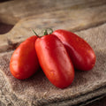 Tomato Plant Live 4 Inch Pot, Small Fruit Tomato Plant for Raised Beds, Patio Containers or Outdoor Growing, 4-6 Inches (San Marzano Tomato)