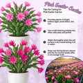 Pink Easter Cactus Live Plant, Hardy Perennial Easter Cactus, Vibrant Pink Blooming Spring Cactus, Indoor Houseplant, Flowering Holiday Cactus, 4–6 Inch Tall