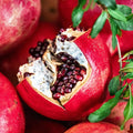 2 Red Pomegranate Trees Live Plants, Well-Rooted, 5-9 Inches Tall, Large Sweet Fruit for Your Garden