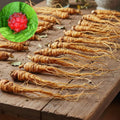 20 Goldenseal Plants Roots, Perennial Goldenseal Flower Bare Roots for Planting Indoor Outdoor