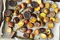 Mix Color Seed Potatoes for Planting Outdoors, 2 Pound Heirloom Potatoes, Heirloom Easy to Plant