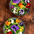 Mix Pansy Plants Live 4 Inch Pot, Colorful Blooms for Garden Beds, Containers, and Borders, Pansies Flowers in Pot 3-5 Inches Tall