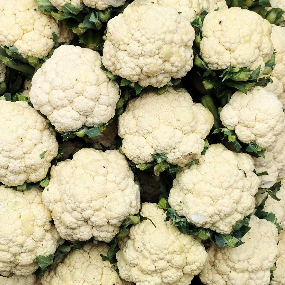 Cauliflower Plants, White Cauliflower Live Vegetable Plants, 3 Plant Per Pot, Ready for Planting