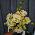 Live Pink Yellow Eustoma Lisianthus Plants, Flowers Seedlings, 3-5 Inches Heights, Well-Rooted Plug, Rose Plant for Garden