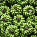 Sets 2 Banana Trees Live Plants in 2.5" Pot, Winter Hardy, Fruit Banana Plants Live for Planting, Dwarf Cavendish Variety