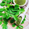 Moringa Tree Plant, 5 to 7 Inc, Moringa Oleifera Plant for Garden, 4 Inc Pot, Growing Outdoor Well Rooted