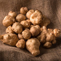 8 Oz Jerusalem Artichoke Tubers for Planting, High Yield Sunchoke Rhizomes Bulbs for Planting, Cold Hardy Gardening Indoor Outdoor