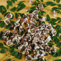 Moringa Tree Plant Live Moringa Plant for Garden, 4 Inc Pot, Moringa Oleifera Plant, Herb Garden