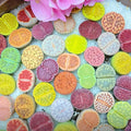 20 Pack Assorted Lithop Live Plants, Rare Living Stone Succulents Plants Live for Indoor Gardens, Lithops Seedlings