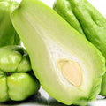 Chayote Squash Plant Live, Chayote Plant, Gallon Pot, 7 to 10 Inc Tall, Live Garden Vegetable Vine
