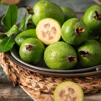 Pineapple Guava Live Plant, Sweet Tropical Fruit Plant 4–6 Inches Tall, Well Rooted, Ready to Grow