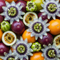 2 Abundant Bloom Mix Random Single Color Passion Flower Plants Live, Passiflora Live Plant for Trailing, Climbing Trellis Outdoor, 5-9" in Tall, Perennial, Fragrant