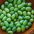 Set 4 Cucamelon Plants Seedlings, Cucamelon Mini Cucumber Live Plant Gardening 3 to 6 Inc Tall Vegetable Plant, Easy to Plant