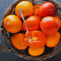 2 American Persimmon Tree Live Plant Bare Roots, 1 Feet to 1.5 Feet Long, Sweet Cold Hardy Fruit Plant Seedlings, Persimmon Bare Roots