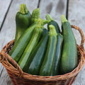 2 Zucchini Plants Live 4'' Pot, Green Squash Vegetable Plant for Garden, Zucchini for Raised Beds, Containers or Outdoor Growing, 2 Plants per Pot
