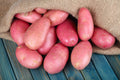 Mix Color Seed Potatoes for Planting Outdoors, 2 Pound Heirloom Potatoes, Heirloom Easy to Plant