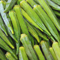 2 Live Green Okra Plants Live, 4–6 Inches Tall, Okra Vegetable Plants, Starter Seedlings for Backyard Garden, Outdoor Planting