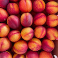 Peach Live Plant, Grafted Peach Plant 1 Feet Tall, Fruit Tree Well-Rooted for Planting (Red Gold)