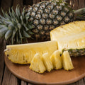 Pineapple Plant Live, Sweet Gold Pinapple Tree Live Plant, 4-6'' Tall for Outdoor Growing