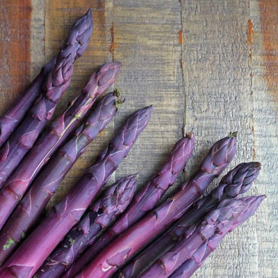 10 Asparagus Bare Roots, Asparagus Crowns for Planting, Hardy Perennial Vegetable Garden Starter Roots (Purple Asparagus)