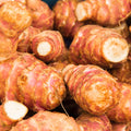 1/2 Lb Jerusalem Artichoke Tubers for Planting, High Yield Sunchoke Rhizomes Bulbs for Planting, Cold Hardy Gardening Indoor Outdoor