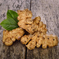 1/2 Lb Jerusalem Artichoke Tubers for Planting, High Yield Sunchoke Rhizomes Bulbs for Planting, Cold Hardy Gardening Indoor Outdoor
