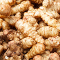 1/2 Lb Jerusalem Artichoke Tubers for Planting, High Yield Sunchoke Rhizomes Bulbs for Planting, Cold Hardy Gardening Indoor Outdoor