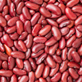 Live Red Bean Plant, Bean Bush Plants, 3-5 Inches Tall