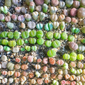 30 Rare Lithops Succulents Plants Live, Multicolor Lithops Live Plants Living Stone for Indoor Gardens
