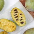 2 Bare Roots, Paw Paw Plants Live, Common Pawpaw Tree Live Plants, 6 to 11 Inc in Height