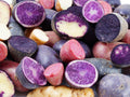 Mixed Color Potato Seeds for Planting Outdoors, 60 Seeds True Potato Seeds, Growing Potato Seeds, Red Yellow Purple Color