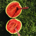 2 Red Watermelon Plants Live, 4'' Pot, Watemelon Fruit Garden Starter Plant