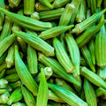 2 Green Okra Plants Live, 4 Inc Potted, Okra Live Plant, Vegetable Plants Live, 5 to 7 Inc Tall