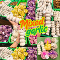 1 Pound Hard Neck Garlic for Planting in Fall, Assorted Mixed Garlic Bulb for Planting, Fresh and High Yield, Cold Hardy, Planting Softneck Hardneck